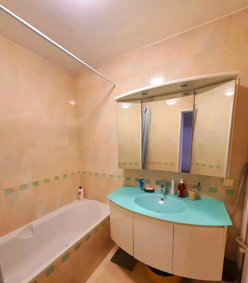 Renewed Spacious 35m2 In Apartment Paris